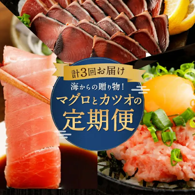 【3回お届け定期便】タカシン水産 人気 定期便 tk005