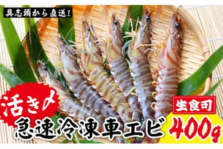 【訳アリ】活き〆急速冷凍車エビ（生食可・約400g）- 海老 車えび 車海老 冷凍 生エビ 国産 養殖 えび天 エビフライ 塩焼き 人気 沖縄県 八重瀬町