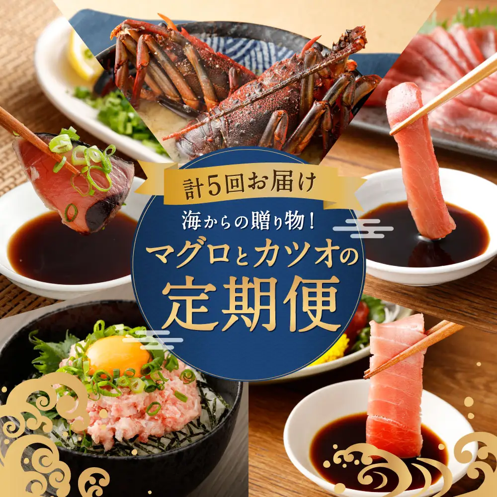 【ふるなびWEEK対象】【5回お届け定期便】タカシン水産 人気 定期便 tk006