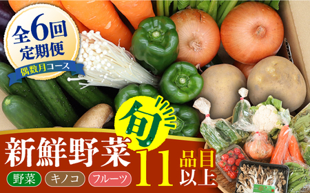 【6回定期便 偶数月コース】野菜 キノコ 果物 11品目 詰め合わせ  当日仕入れ当日発送！ / 野菜 定期便 / 吉岡青果 [SCZ006] 