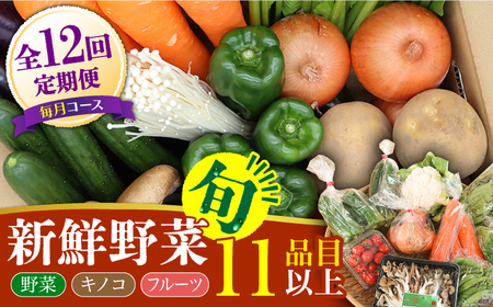 【12回定期便】野菜定期便11品目 [SCZ007]