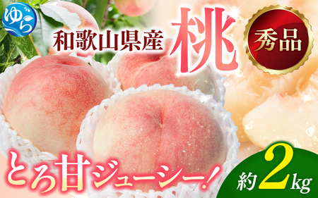 桃 秀品 和歌山の桃　約2kg  ※2026年6月下旬～順次発送 ※北海道・沖縄・離島配送不可【tec910B】