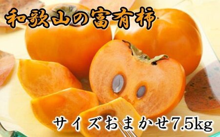  【2026年秋・発送分！】[甘柿の王様]和歌山産富有柿　約7.5kg サイズおまかせ★2026年11月上旬頃順次発送【tec400A】