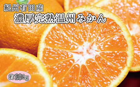 完熟有田みかん　10kg【2026年11月下旬以降発送】【先行予約】【UT11】【uot705】