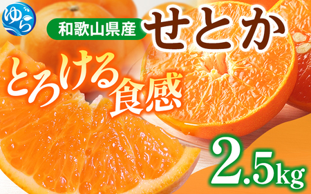  紀州 有田産 せとか 2.5kg とろける食感！ジューシー柑橘 / 果物 甘い 柑橘 和歌山 ※2027年1月下旬頃〜2月上旬頃発送予定 【uot789】