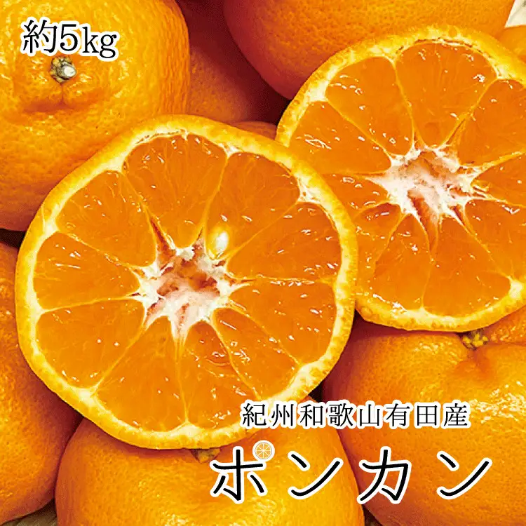 紀州和歌山有田産ポンカン　5㎏	※2027年1月下旬頃〜2027年2月上旬頃に順次発送（お届け日指定不可）【uot722】