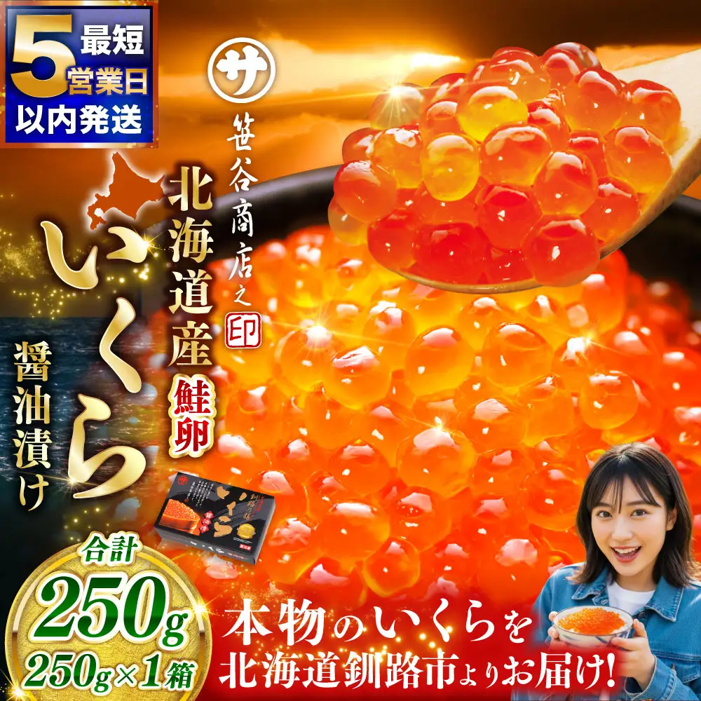 【5営業日以内発送】笹谷商店 新物 北海道産いくらしょう油漬250g ふるさと納税 いくら F7F-9676