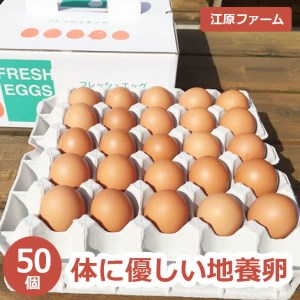 江原ファーム　体に優しい地養卵 50個 割れ補償 |  卵 たまご タマゴ _AG04