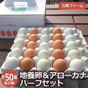 江原ファーム　地養卵＆アローカナハーフセット 計50個 割れ補償  卵 たまご タマゴ _AG08