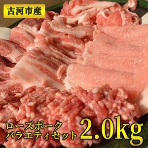 古河市産ローズポークバラエティセット2.0㎏【全国銘柄食肉コンテストで最優秀賞を受賞】 _AD01