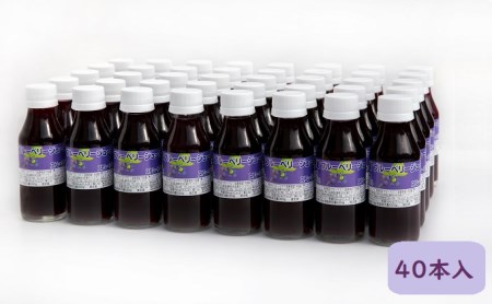 信州小諸産ブルーベリージュース100ml×40本セット 果汁飲料 野菜飲料 