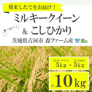 【新米】食べくらべ！特別栽培米　こしひかりとミルキークイーン5kgずつのセット_BI01