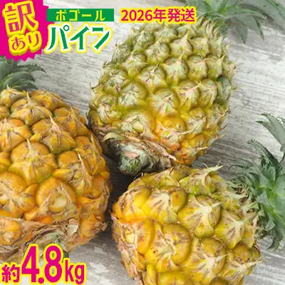 パイン【2026年発送】訳ありパイン 4～8玉 約4.8kg（ボゴール）