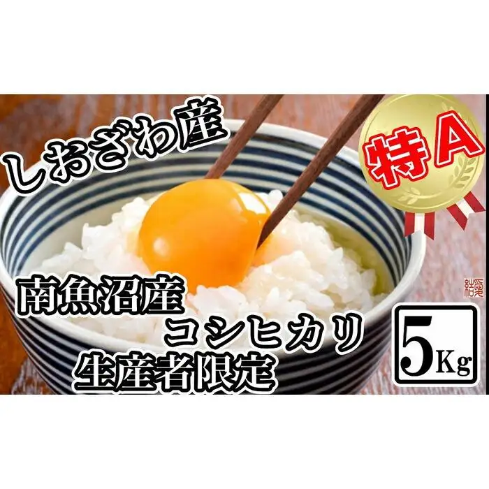 【令和7年産】【生産者限定 契約栽培】南魚沼しおざわ産コシヒカリ5kg【銘柄米 ブランド米 精米 こしひかり コシヒカリ 魚沼産 新潟米 産地直送 お米 米 こめ コメ ご飯 御飯 ごはん】