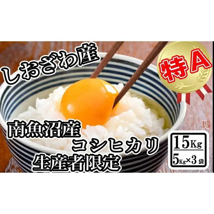 【令和7年産】【生産者限定 契約栽培】南魚沼しおざわ産コシヒカリ15kg（５kg×3袋）【銘柄米 ブランド米 精米 こしひかり コシヒカリ 魚沼産 新潟米 産地直送 お米 米 こめ コメ ご飯 御飯 ごはん】