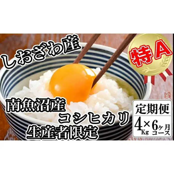 【令和7年産】【定期便／４kg×6ヶ月】生産者限定 契約栽培 南魚沼しおざわ産コシヒカリ【定期便 銘柄米 ブランド米 精米 こしひかり コシヒカリ 魚沼産 新潟米 産地直送 お米 米 こめ コメ ご飯 御飯 ごはん】