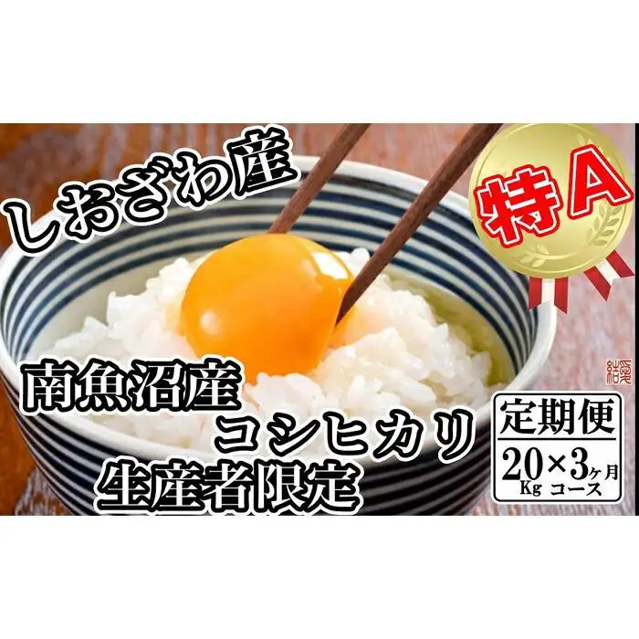 【令和7年産】【定期便／20kg×3ヶ月】生産者限定 契約栽培 南魚沼しおざわ産コシヒカリ【定期便 銘柄米 ブランド米 精米 こしひかり コシヒカリ 魚沼産 新潟米 産地直送 お米 米 こめ コメ ご飯 御飯 ごはん】