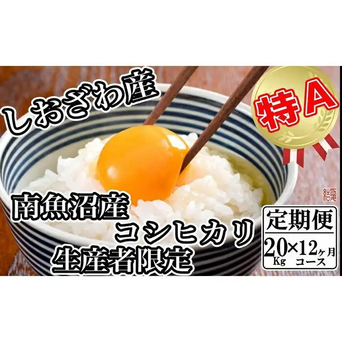 【令和7年産】【定期便／20kg×12ヶ月】生産者限定 契約栽培 南魚沼しおざわ産コシヒカリ【定期便 銘柄米 ブランド米 精米 こしひかり コシヒカリ 魚沼産 新潟米 産地直送 お米 米 こめ コメ ご飯 御飯 ごはん】