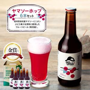 南信州地ビール『ヤマソーホップ』６本セット[ ビール ホップ ]
