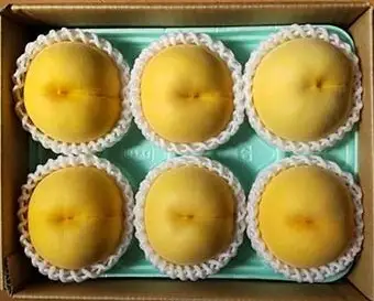 【数量限定】桃（黄貴妃）特秀品【２ｋｇ箱に１.８ｋｇ～２.２ｋｇ詰め】　0106-2601