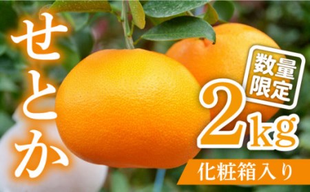 【2027年2月-発送】期間限定！せとか 2kg / みかん ミカン 蜜柑 みかん ミカン ミカン 果物 フルーツ 贈答用 化粧箱 / 南島原市 / JA島原雲仙東南部基幹センター[SAC002]