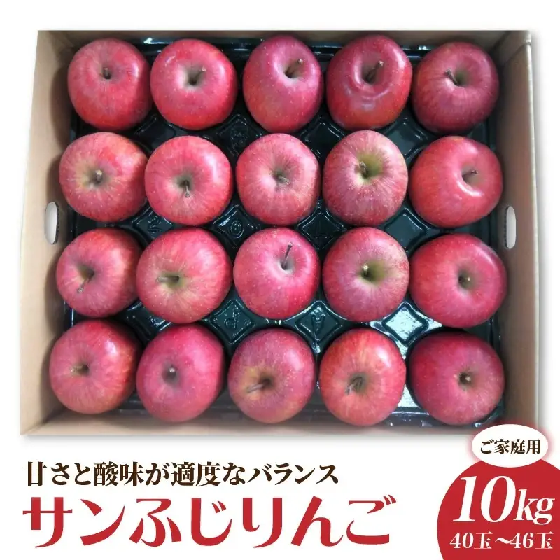 りんご（サンふじ）１０ｋｇ　４０～４６玉　ご家庭用　0056-2624