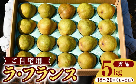 《先行予約》令和8年産 洋梨 ラ・フランス 5kg（18玉 - 20玉）《ご自宅用》 L - 2L 山形県産 【2026年11月頃から12月上旬頃発送予定】　012-B-HK002