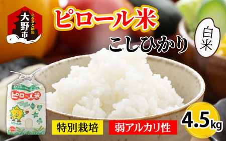 【令和7年産】こだわりの米！弱アルカリ性のピロール米 こしひかり 白米 4.5kg [A-009005]