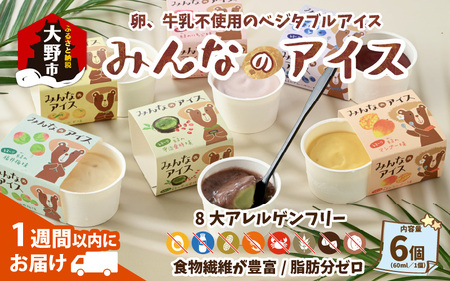 みんなのアイス6個セット（ 卵・牛乳・小麦等アレルギー特定原材料8品目不使用のアイス） 