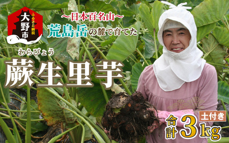 【先行予約】日本百名山 荒島岳の麓で育てた 蕨生（わらびょう）里芋 3kg【11月より順次発送】
