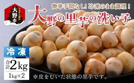 【先行予約】簡単手間なし！冷凍のまま調理！大野の里芋の洗い子 1kg × 2袋 計2kg (冷凍) 【11月より順次発送】