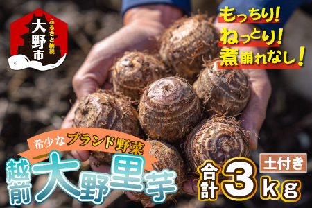【先行予約】越前大野里芋 3kg ねっとりうまい煮崩れしない！【11月より順次発送】