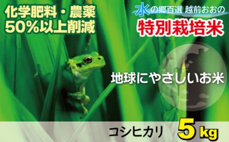 【令和7年産】こしひかり（福井県大野市産）福井県特別栽培米 5kg【白米】 [A-003005]