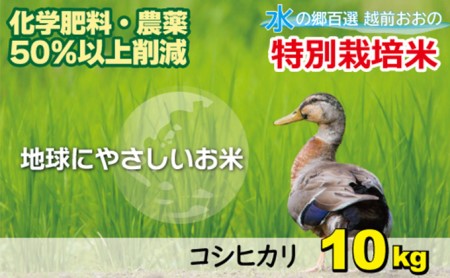 【令和7年産】こしひかり 10kg【白米】減農薬・減化学肥料 「特別栽培米」地球にやさしいお米[A-003008]