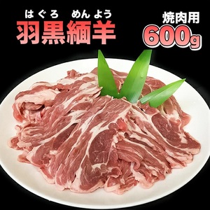 【令和8年先行予約 6月以降発送】 羽黒緬羊の焼肉セット (600g)　クックミートマルヤマ　K-849