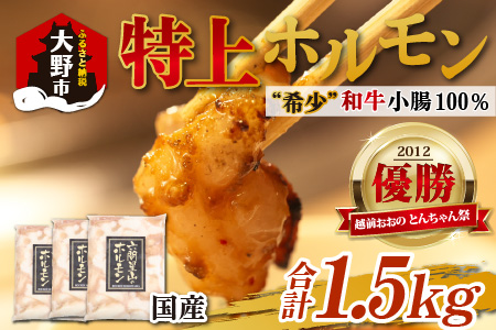 とんちゃん祭2012年優勝商品！特上ホルモン（和牛小腸100％）500g×3袋 計1.5kg [B-026001]