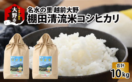 【令和7年産】名水の里越前大野の棚田清流米コシヒカリ5kg×2袋 減農薬 減化学肥料 [B-011002]|こしひかり 農薬いらず 合計10kg 国産 送料無料