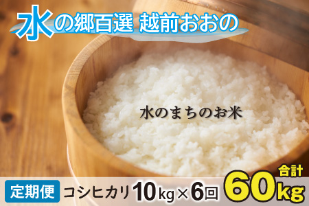 【令和7年産】【6ヶ月定期便】こしひかり 10kg×6回 計60㎏【白米】「エコファーマー米」水のまちのお米 [H-003002]