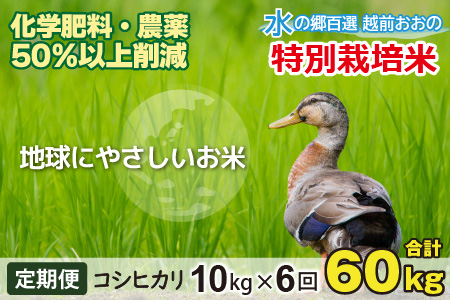 【令和7年産】【6ヶ月定期便】こしひかり 10kg × 6回 計 60kg【白米】減農薬・減化学肥料 「特別栽培米」－地球にやさしいお米－[I-003003]