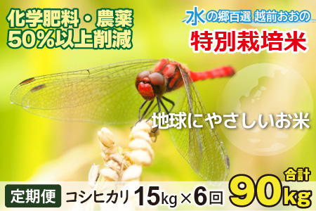 【令和7年産】【6ヶ月定期便】こしひかり 15kg × 6回 計 90kg【白米】減農薬・減化学肥料 「特別栽培米」－地球にやさしいお米－ [K-003001]