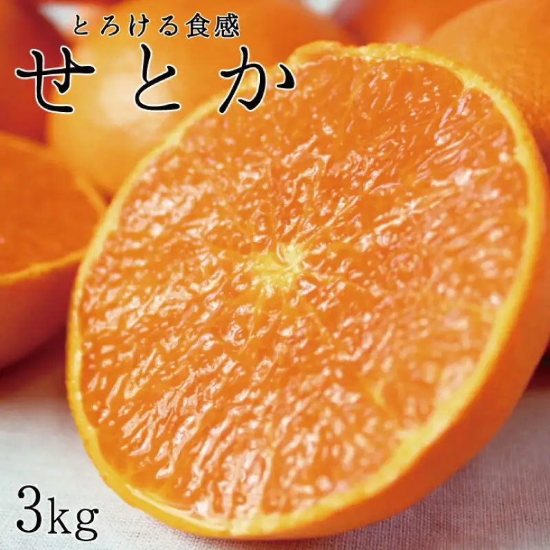 とろける食感！ジューシー柑橘　せとか　約3kg【予約】※2027年2月下旬頃〜2027年3月中旬頃発送(お届け日指定不可)【uot506A】