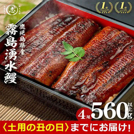 【丑の日までに配送】国産 うなぎ 蒲焼 4尾 霧島湧水鰻の蒲焼き 140g以上×4尾＜計560g以上＞ うなぎ 鰻 ウナギ 国産 九州産 蒲焼き 【志布志市人気No.1お礼の品】 a6-078-us