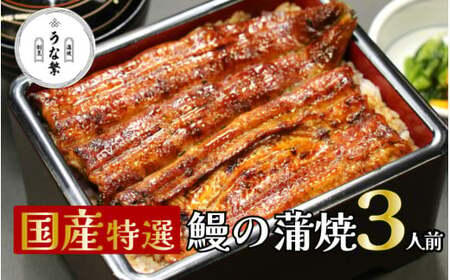 うなぎ 蒲焼 真空パック 特選 国産 ３人前 うな繁 うな重 ひつまぶし たれ付き お中元 ギフト 富士山 湧水 ウナギ 鰻 土用 丑の日 個包装 人気 美味しい 小分け 静岡県