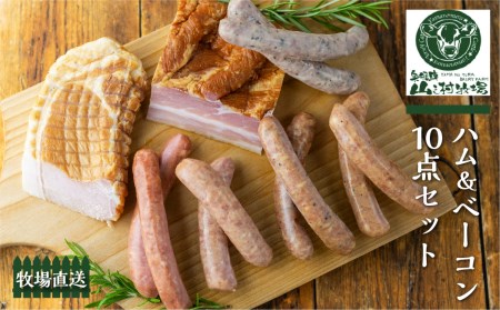 肉製品10点セット / 肉 製品 ソーセージ ハム ベーコン[Q503ch]