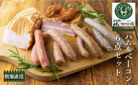 肉製品6点セット / 肉 製品 ソーセージ ハム ベーコン[Q504ch]