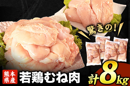 鶏肉 熊本県産若鶏 むね肉 計8kg 鶏肉 むね 大容量 