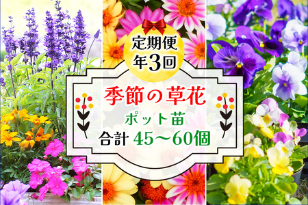 【ふるさと納税】季節の草花 詰め合わせ 年3回定期便＜1回15?20個／計45?60個（ポット苗）＞ | 園芸 ガーデニング 宿根草 多年草 一年草 菜花村 埼玉県 杉戸町