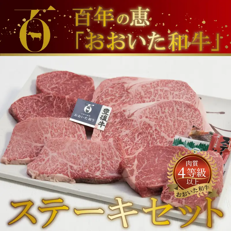 百年の恵 「おおいた和牛」 ステーキセット約800g A01066