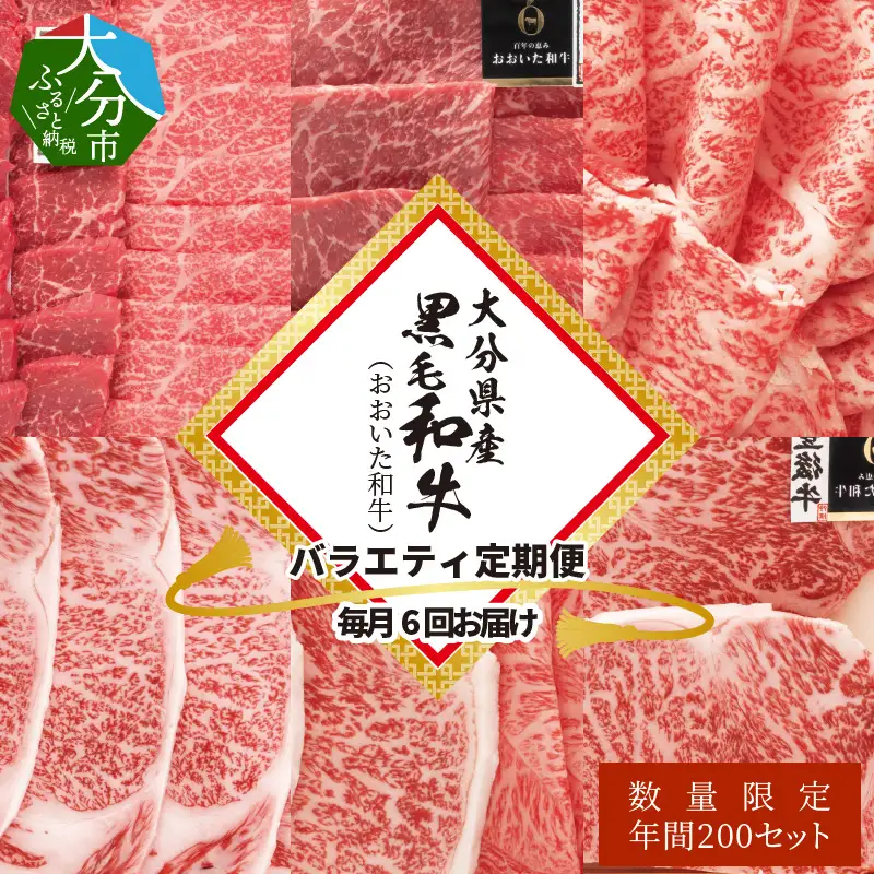 【定期便】大分県産黒毛和牛（おおいた和牛）バラエティ定期便 毎月6回お届け A01082