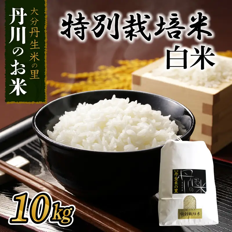 特別栽培米ぴかまる白米 10kg B01021